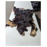 Small Bear pelt
