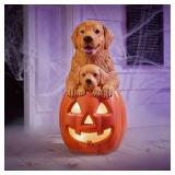 Halloween LED Golden Retriever with Puppy