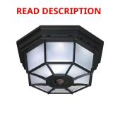 360  4-Light Black Motion Ceiling Light
