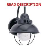 Sebring 1-Light Black Nautical Wall Lantern
