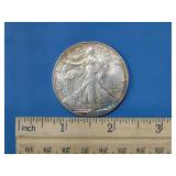 2005 Silver American Eagle one dollar coin