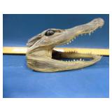 Small alligator head