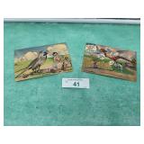 2) 1946 PHEASANT  POSTCARDS, GT BRAINS HURON SD