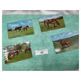 4) KENTUCKY THOROUGHBREDS HORSES POSTCARDS