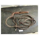 HALTERS