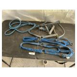 HALTERS