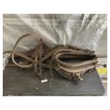 COLLAR WITH HAIMES AND HARNESS