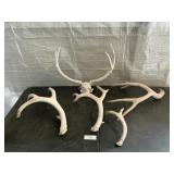 HORNS