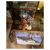 Wolf photos and stuff animal