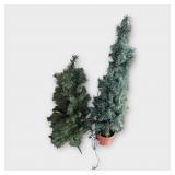2 Small Decorative Trees