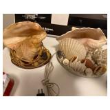 Vintage Conch shell lamps