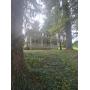 REAL ESTATE AUCTION IN CONJUNCTION WITH ESTATE SALE 