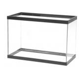 20 Gallon Aquarium Tank