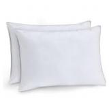 CLARITIN Allergy Barrier Pillow 2 Pack