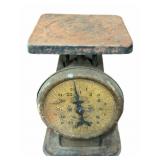 Scales