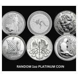 1oz PLATINUM COIN RANDOM (YEAR&COIN)