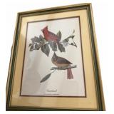 (4) John James Audubon Reproduction Prints