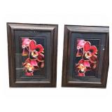Framed Flowers Picture