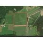 37+/- Acres with access off of Walker Road