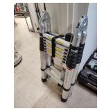 Telescoping ladder
