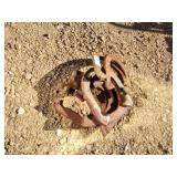 Horseshoes