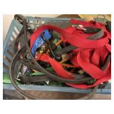 Bungee Cords