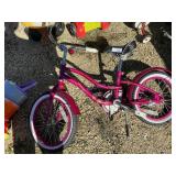 Girlï¿½s Bicycle- Raleigh