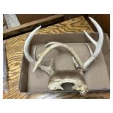 Antlers