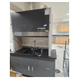 LABCONCO Labratory Hood and sink