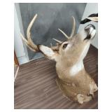 Deer mount