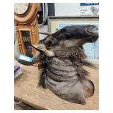 Wildebeest mount