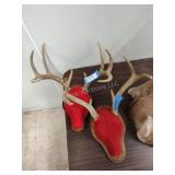 2 antler mounts