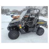 Kawasaki Teryx 750 4x4 UTV