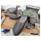 5 turkey decoys