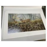 Van Gilder print, 1516/9500