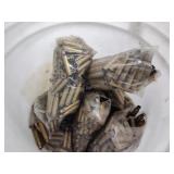 Primed 7.62 brass 1 bucket