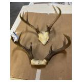 2 sets of deer horns