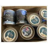 Benjamin Moore color samples