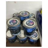 Benjamin Moore samples