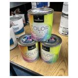 Benjamin Moore samples
