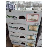 Stone veneer 4 boxes