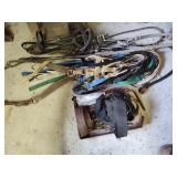 Horse tack items