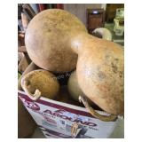 Assorted  gourds
