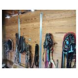 Horse tack - contents of wall