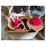 Box of antler mounts