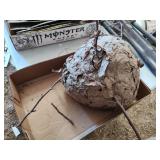 Bee hive and antlers