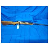 Pioneer Gamble Stores Model 25 .22 LR