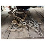 (6) 220 conibear traps