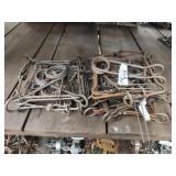 (6) 220 conibear traps