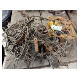 (12) 110 conibear traps